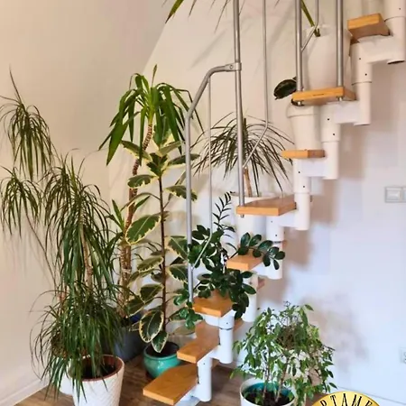 Apartament W Rynku Boleslawiec (Lower Silesia)