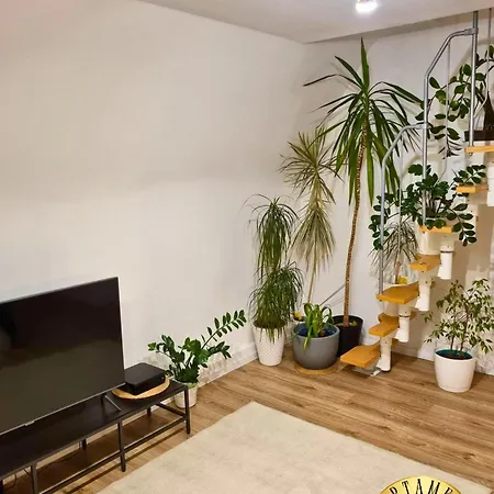Apartament W Rynku